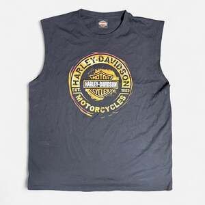 Vintage Harley-Davidson Death Valley CA Cut Off Muscle Tee Size 3XL